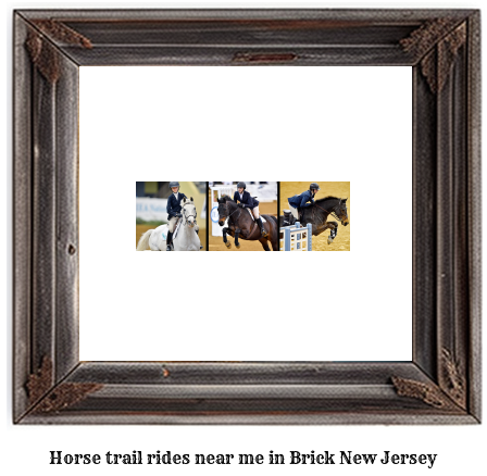 horse trail rides near me in Brick, New Jersey